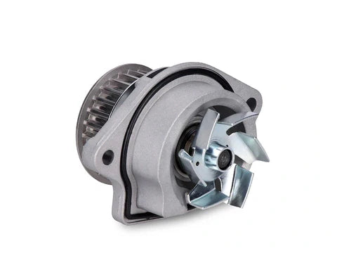 INA - Waterpump - Volkswagen POLO IV (9N_, 9A_)  1.4 16V AUB, BBZ