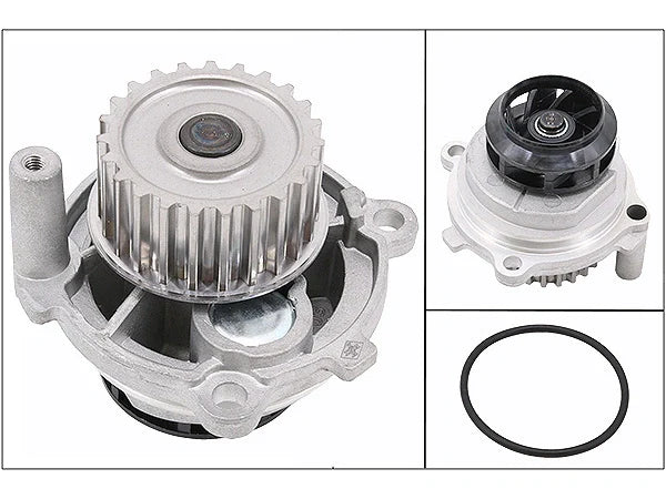 INA - Waterpump - Volkswagen GOLF V (1K1)  1.6  BGU, BSE, BSF, CCSA