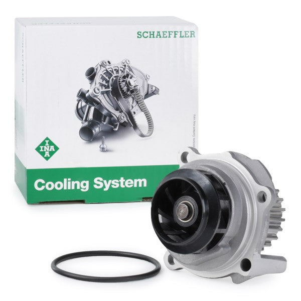 INA - Waterpump - Volkswagen GOLF V (1K1)  1.6  BGU, BSE, BSF, CCSA