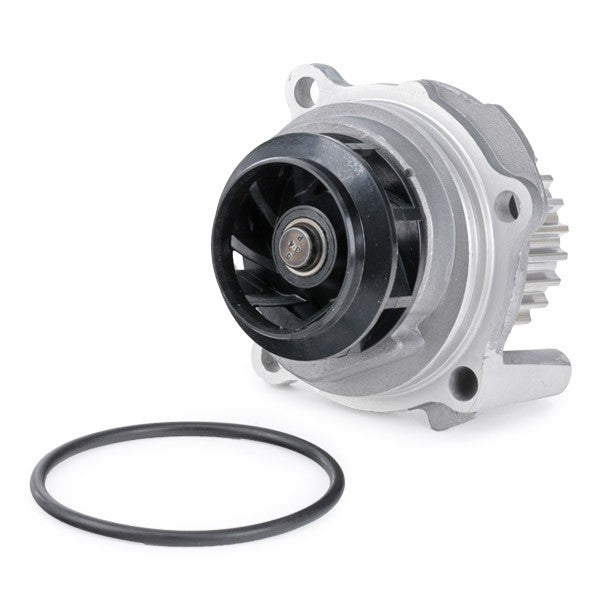 INA - Waterpump - Volkswagen GOLF V (1K1)  1.6  BGU, BSE, BSF, CCSA
